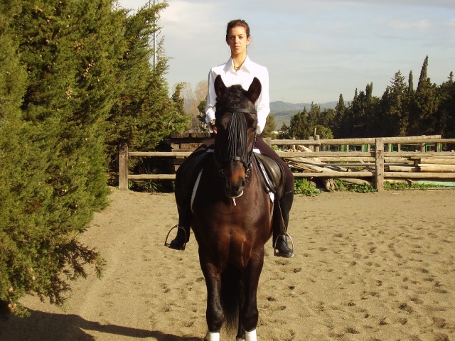 Clases de equitación